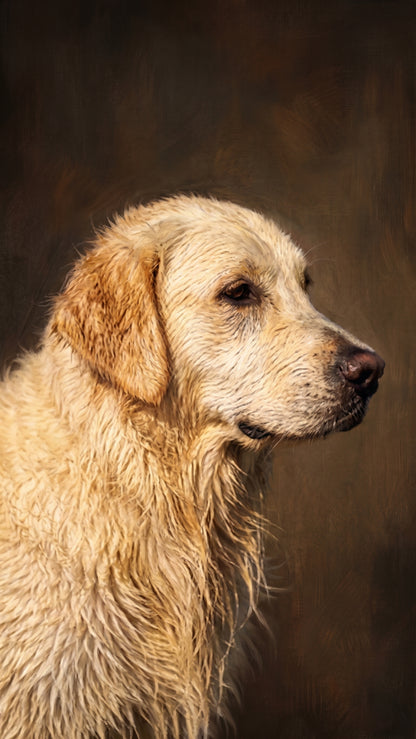 Pet Portrait — Classic Oil